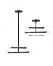 Lark 83194BK - 4 - Light Pendant/Semi-Flush Mount