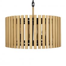 Varaluz 387P06MBH - 6 - Light Pendant - Matte Black/Honey Blonde