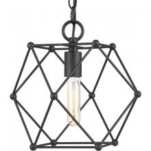Progress Lighting P500082-031 - 1 - Light Pendant
