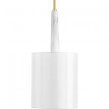Progress Lighting P500107-078 - 1 - Light Pendant Light