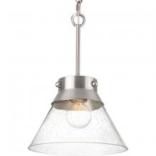Progress Lighting P350139-009 - POINT DUMEÂ® byJeffrey Alan Marks for Progress Lighting Tapia Trail Collection Brushed Nickel  Semi-