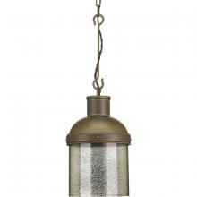 Progress Lighting P500202-161 - 1 - Light Pendant