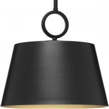 Progress Lighting P500367-31M - 1 - Light Pendant
