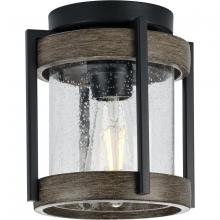 Progress Lighting P550109-31M - 1 - Light Flush Mount Outdoor