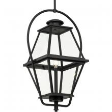 Progress Lighting P550138-031 - Bradshaw Collection One-Light Textured Black Clear Glass Transitional Outdoor Hanging Lantern