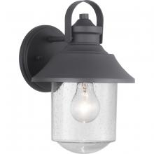 Progress Lighting P560120-031 - 1 - Light Medium Wall Lantern
