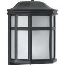 Progress Lighting P560283-031-PC - D2D 1 - Light Non-Metallic Outdoor Lantern