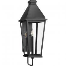 Progress Lighting P560346-031 - Richmond Hill Collection One-Light Textured Black Clear Glass Modern Farmhouse Outdoor Large Wall La