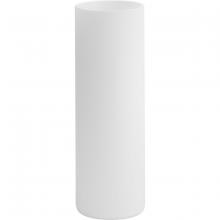 Progress Lighting P860061-029 - Frosted Glass Cylindrical Shade