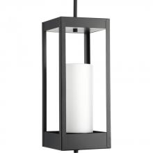 Progress Lighting P550024-031 - 1 - Light Hanging Lantern