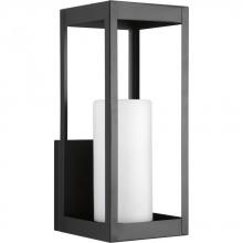 Progress Lighting P560041-031 - 1 - Light Large Wall Lantern