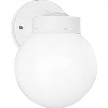 Progress Lighting P5604-30 - One-Light 6" Glass Globe Outdoor Wall Lantern