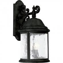 Progress Lighting P5651-31 - 3 - Light Wall Lantern