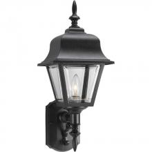 Progress Lighting P5656-31 - Non-Metallic Incandescent One-Light Wall Lantern