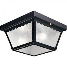 Progress Lighting P5729-31 - Two-Light 9-1/4" Flush Mount for Indoor/Outdoor use