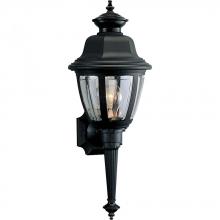 Progress Lighting P5738-31 - Non-Metallic Incandescent One-Light Wall Lantern