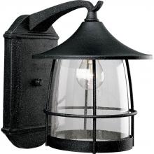 Progress Lighting P5764-71 - Prairie Collection One-Light Large Wall Lantern