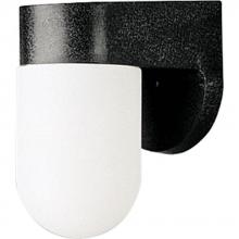 Progress Lighting P5817-31 - Non-Metallic Incandescent One-Light Outdoor Wall Lantern
