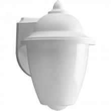Progress Lighting P5844-30 - Non-Metallic Incandescent One-Light Outdoor Wall Lantern