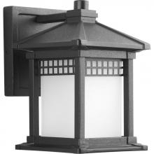 Progress Lighting P6000-31 - Merit Collection One-Light Wall Lantern