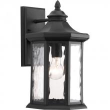 Progress Lighting P6072-31 - Edition Collection One-Light Large Wall Lantern
