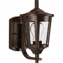 Progress Lighting P6073-20 - East Haven Collection One-Light Small Wall Lantern