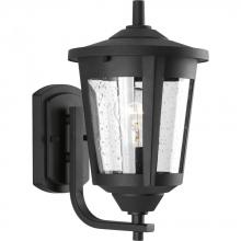 Progress Lighting P6074-31 - 1 - Light Medium Wall Lantern