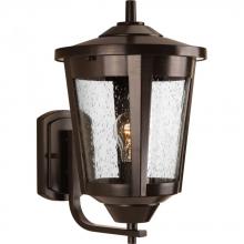 Progress Lighting P6075-20 - East Haven Collection One-Light Large Wall Lantern