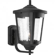 Progress Lighting P6075-31 - East Haven Collection One-Light Large Wall Lantern