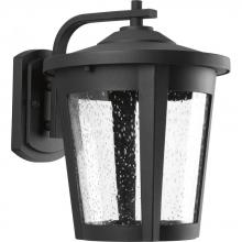Progress Lighting P6079-3130K9 - East Haven Collection One-Light Large LED Wall Lantern