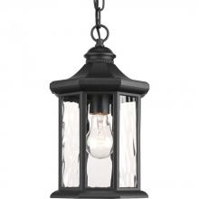 Progress Lighting P6529-31 - Edition Collection One-Light Hanging Lantern