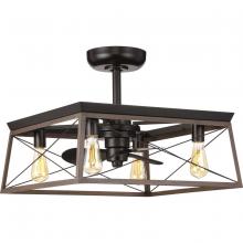 Progress Lighting P250067-020-WB - 4 - Light 22" Indoor/Outdoor Fandelier