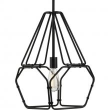 Progress Lighting P500220-031 - 1-100W MED PENDANT