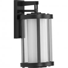 Progress Lighting P560149-031 - Irondale Collection Black One-Light Medium Wall Lantern