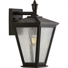 Progress Lighting P560167-020 - Cardiff Collection One-Light Medium Wall Lantern with DURASHIELD