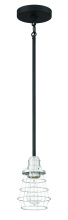 Craftmade 50691-FBBNK - 1 - Light Pendant