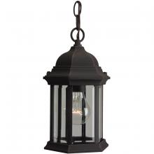 Craftmade Z291-RT - 1 - Light Outdoor Pendant in Rust (Clear Glass)