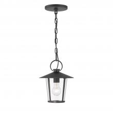 Crystorama AND-9203-CL-MK - 1 - Light Small Outdoor Pendant