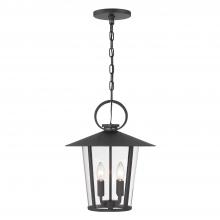 Crystorama AND-9204-CL-MK - 4 - Light Large Outdoor Pendant