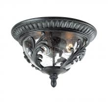 Acclaim Lighting 1105ST - 2 - Light Outdoor Flush Mount