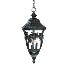 Acclaim Lighting 1106ST - Three Light Stone Hanging Lantern