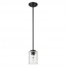 Acclaim Lighting IN20014BK - 1 - Light Pendant