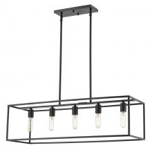 Acclaim Lighting IN21002BK - 5 - Light Island Pendant Matte Black