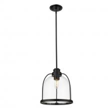 Acclaim Lighting IN21300BK - 1 - Light Pendant