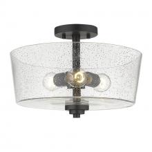 Acclaim Lighting IN61104BK - 3 - Light Semi-Flush Mount