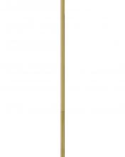 Hinkley Merchant 6938SA - Cord Cover Accessory - Satin Brass