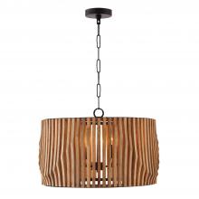 Capital 344642WK - 4 - Light Pendant