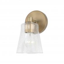 Capital 646911AD-533 - 1 - Light Sconce