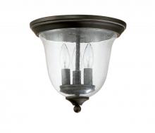 Capital 9541OB - 3 Light Outdoor Flush Mount