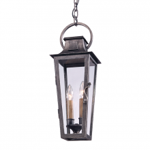 Troy F2966 - 2 - Light Pendant Lantern